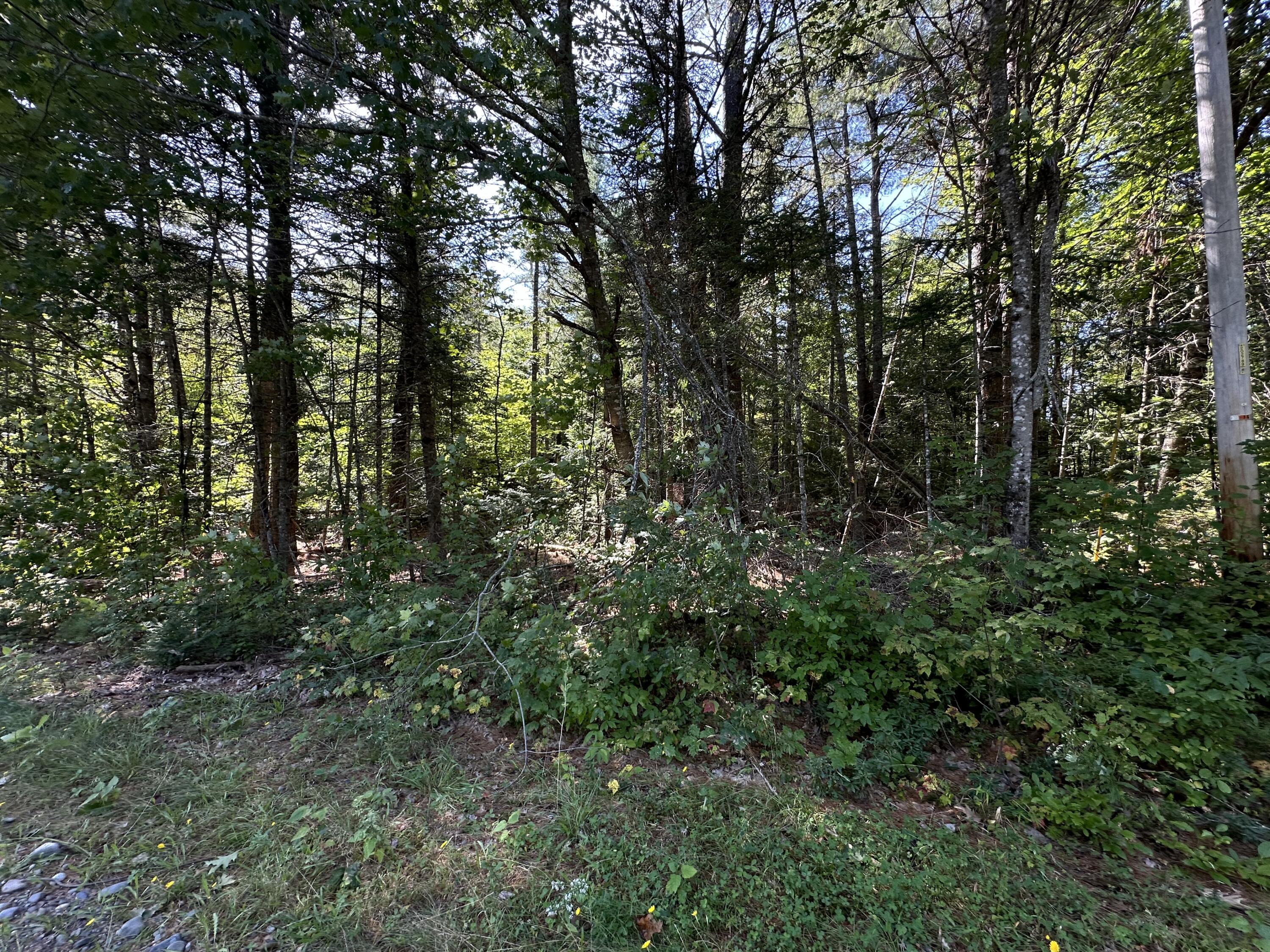 0 Dunham Road Milo, ME 04463 - Photo 7 of 9
