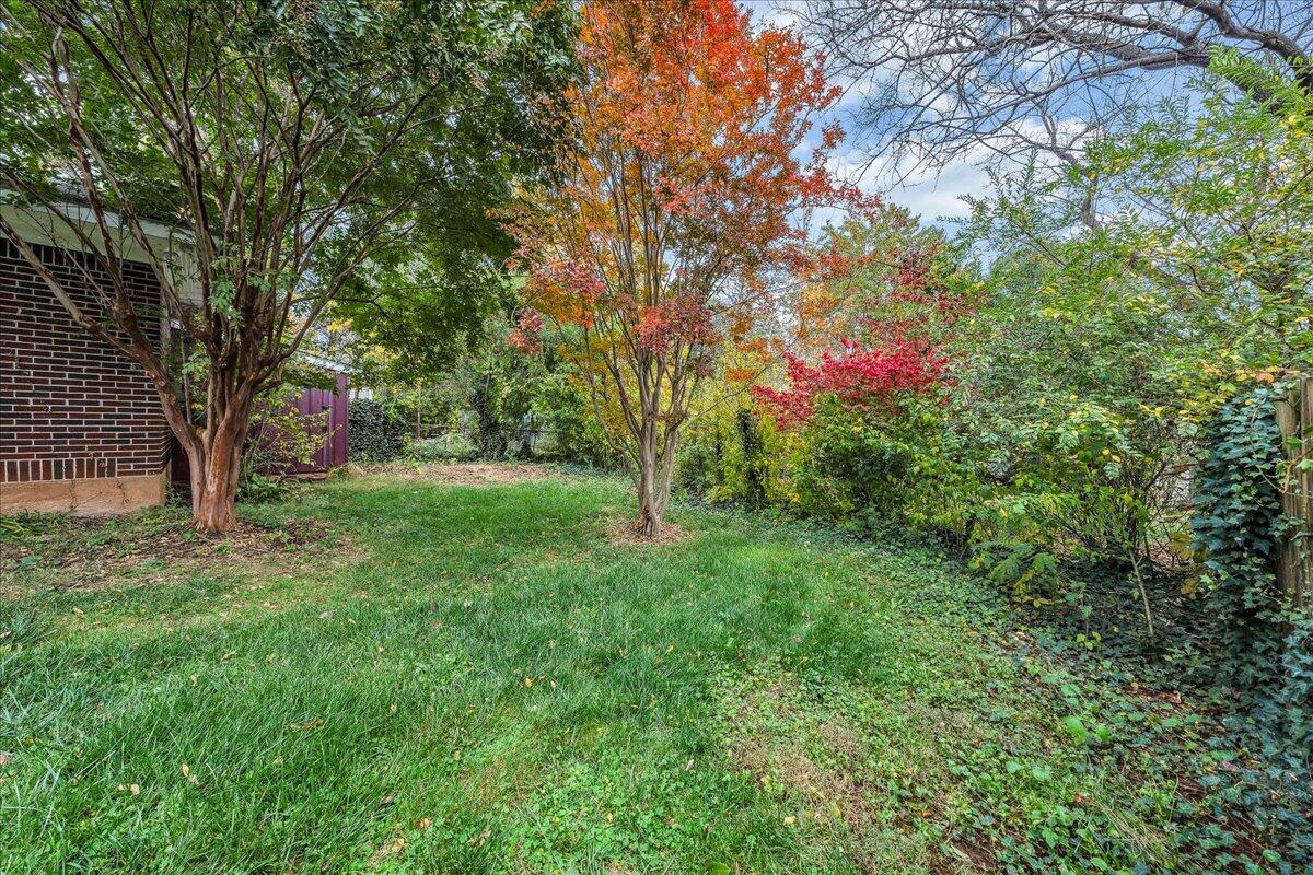 1818 Mt Vernon Road Southwest Roanoke, VA 24015 - Photo 37 of 44 Backyard