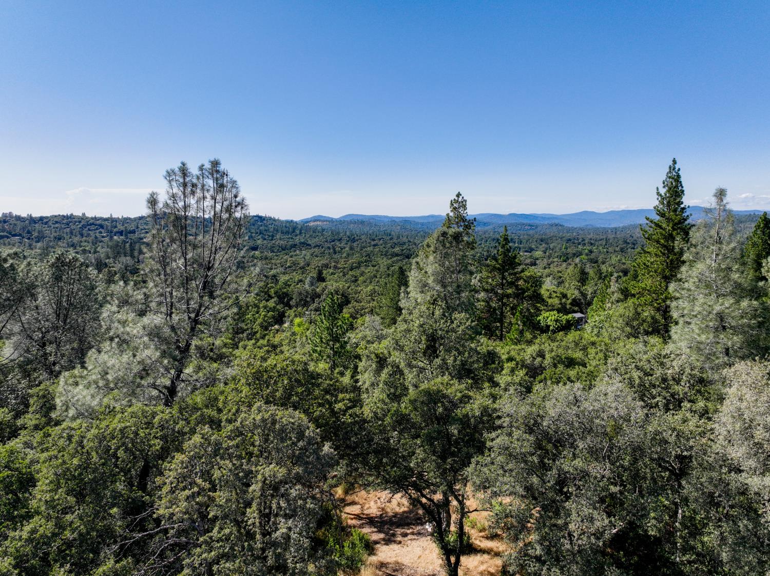 16970 Southridge Road Penn Valley, CA 95946 - Photo 4 of 45
