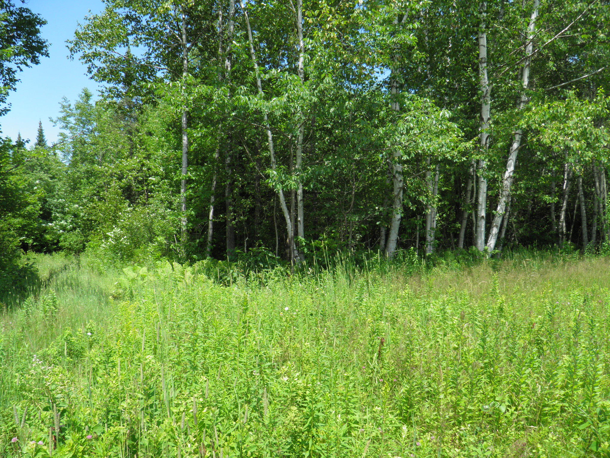 343 Me- 159 Crystal, ME 04747 - Photo 6 of 9 P7180652
