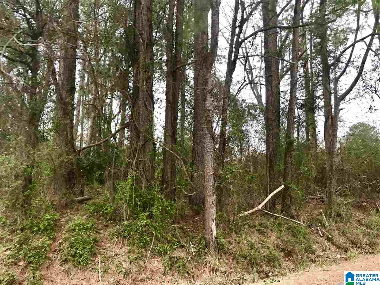 0 Cave Road, Unit LOT 3 AND 4 Anniston, AL 36206 - Photo 3 of 6