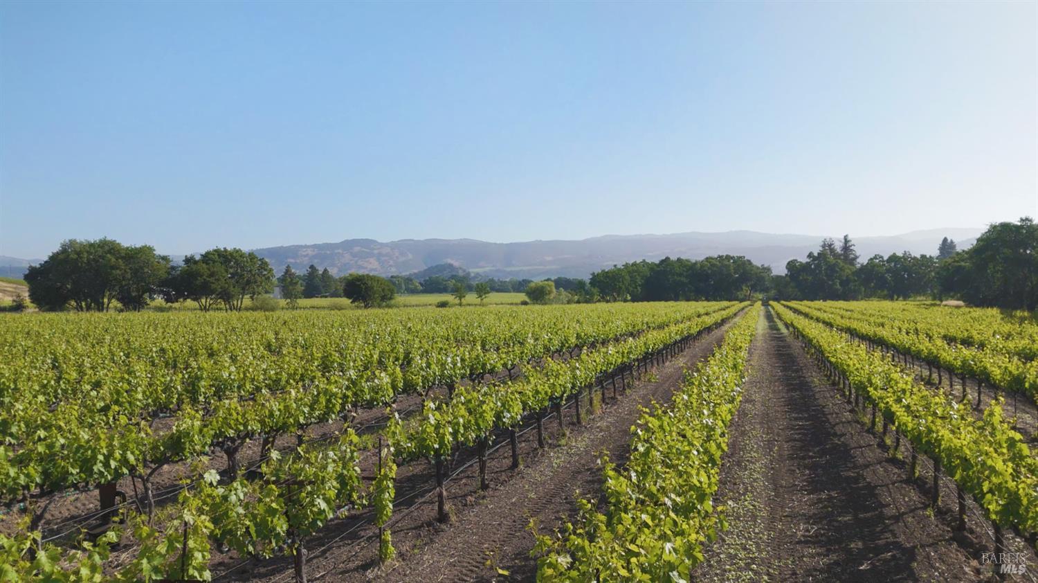 1300 Yount Mill Road Napa, CA 94558 - Photo 5 of 12