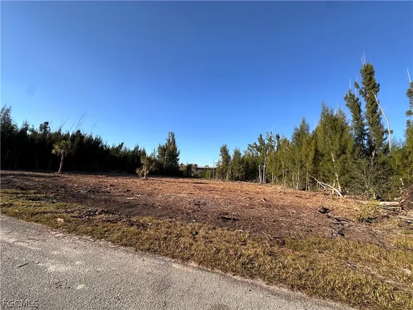 a view of dirt yard with a tree