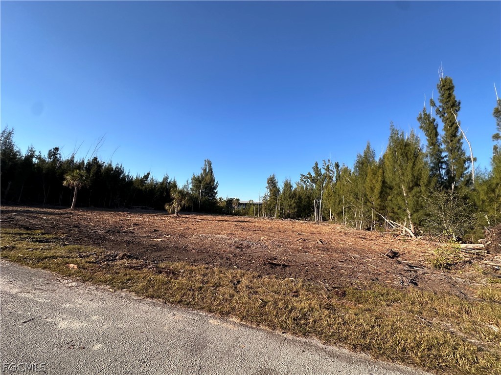 a view of dirt yard with a tree