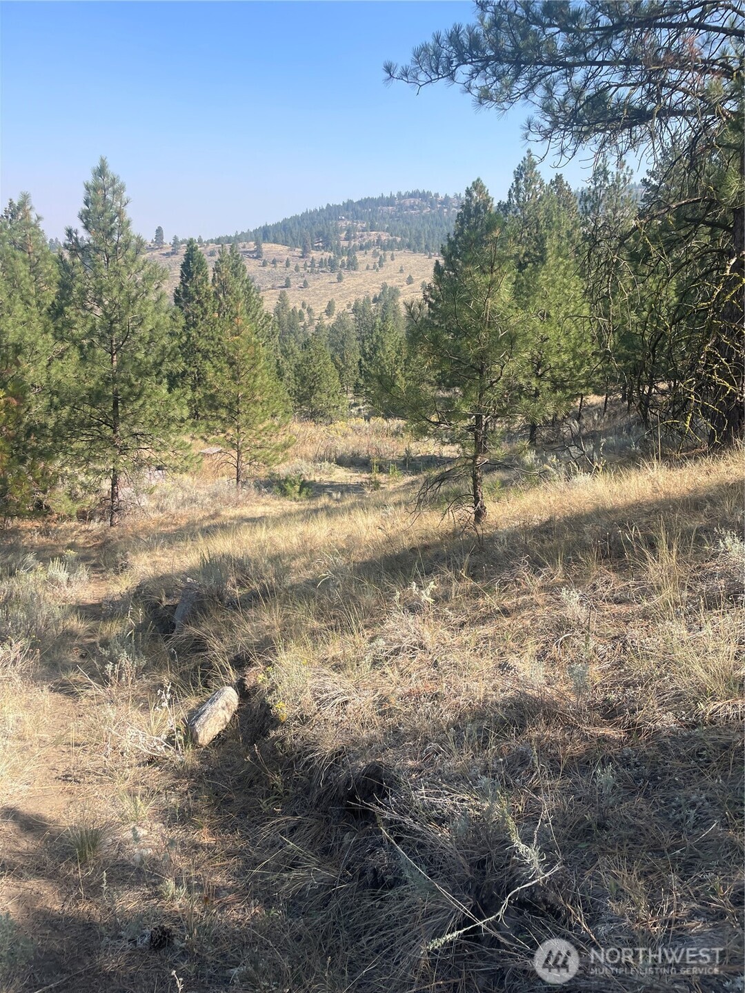 -tbd Reevas Basin Road Tonasket, WA 98855 - Photo 12 of 38