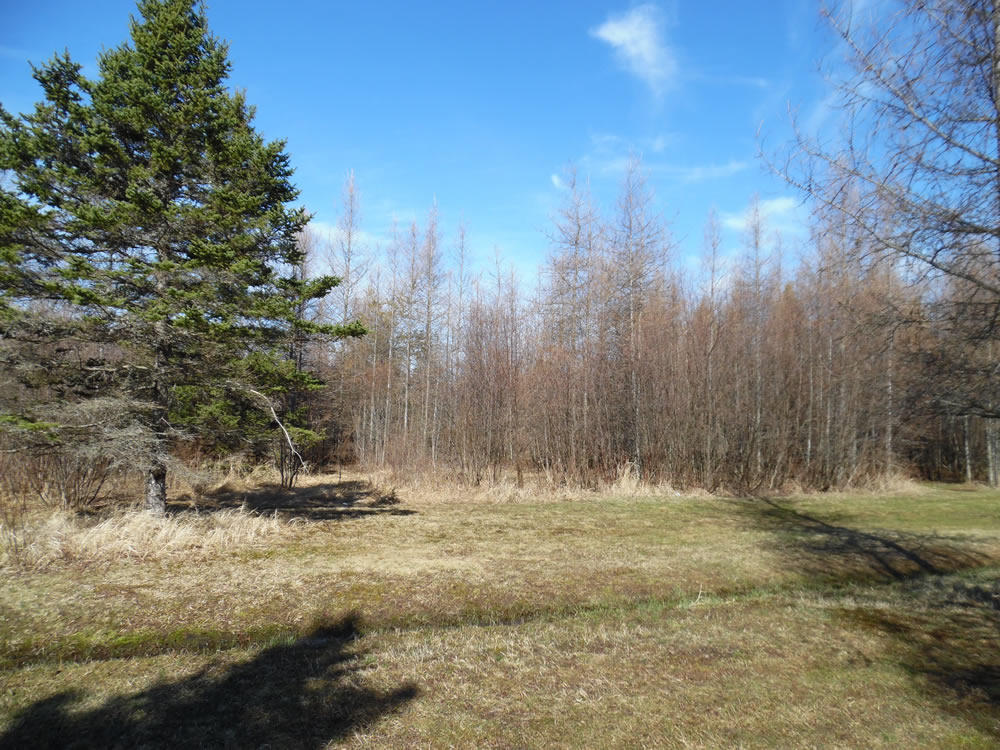 80 South Johnson Road Kinross, MI 49752 - Photo 21 of 38 Gallery Image 21