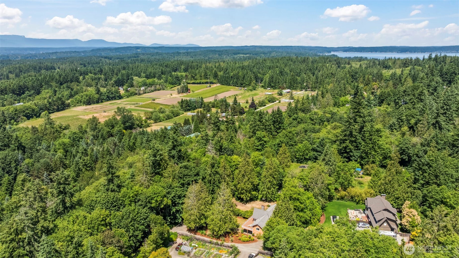 12170 Viewcrest Place Northeast Bainbridge Island, WA 98110 - Photo 37 of 37 a view of a city with lush green forest