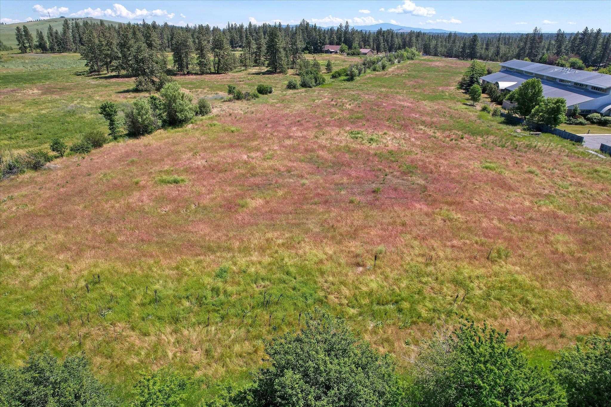 Cheney-spoka South Cheney Spokane Road Cheney, WA 99004 - Photo 4 of 26 Gallery Image 4