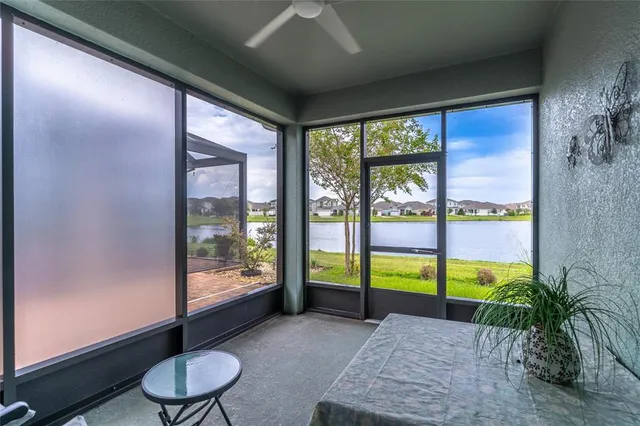 a view of a big yard with a large tree