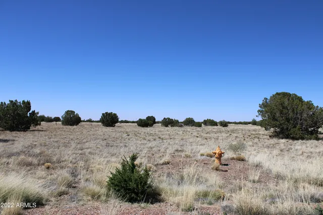 $59,900 | 7700 Del Rio Drive, Unit 47, Show Low, AZ 85901