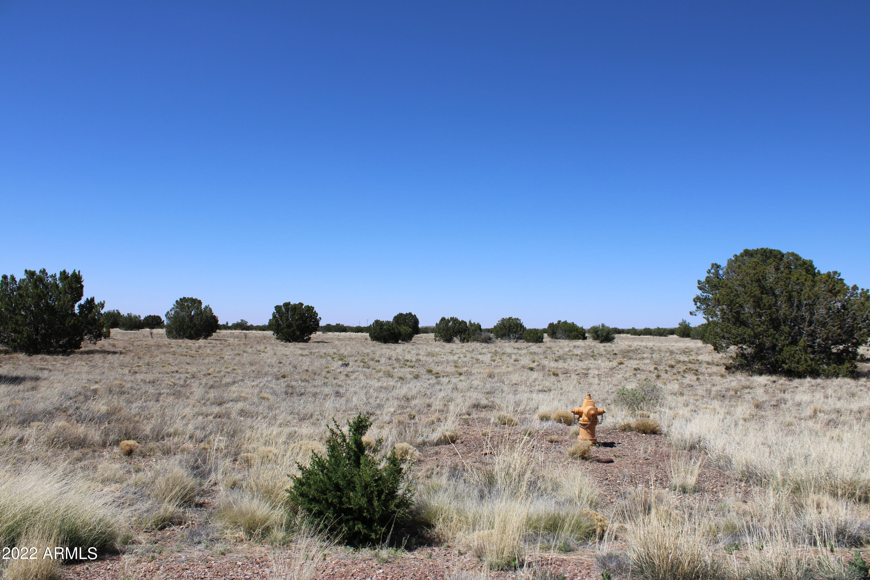 7700 Del Rio Drive, Unit 47 Show Low, AZ 85901 - Photo 2 of 13 Lot 47