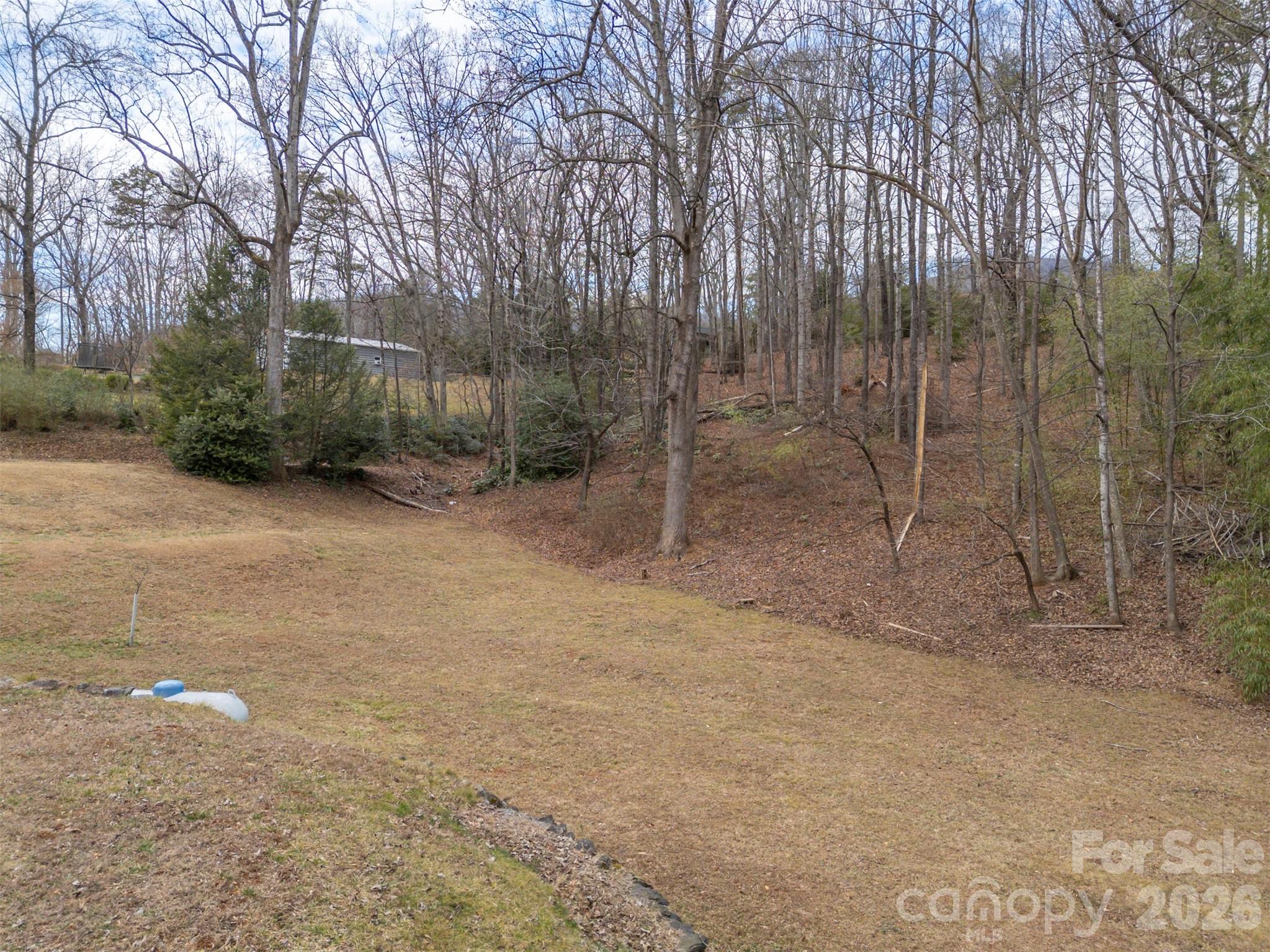 711 Thermal View Drive Tryon, NC 28782 - Photo 29 of 34