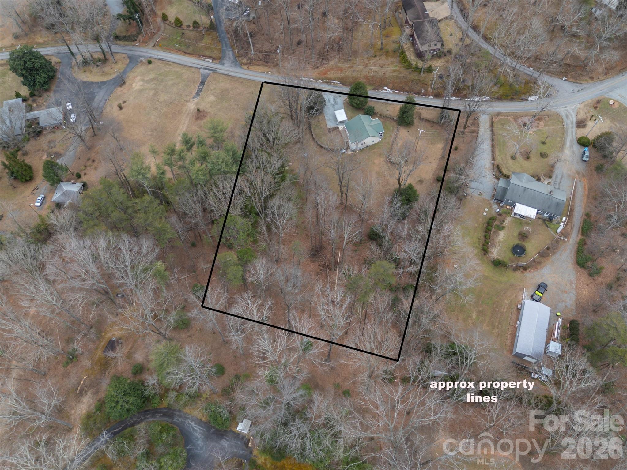 711 Thermal View Drive Tryon, NC 28782 - Photo 30 of 34