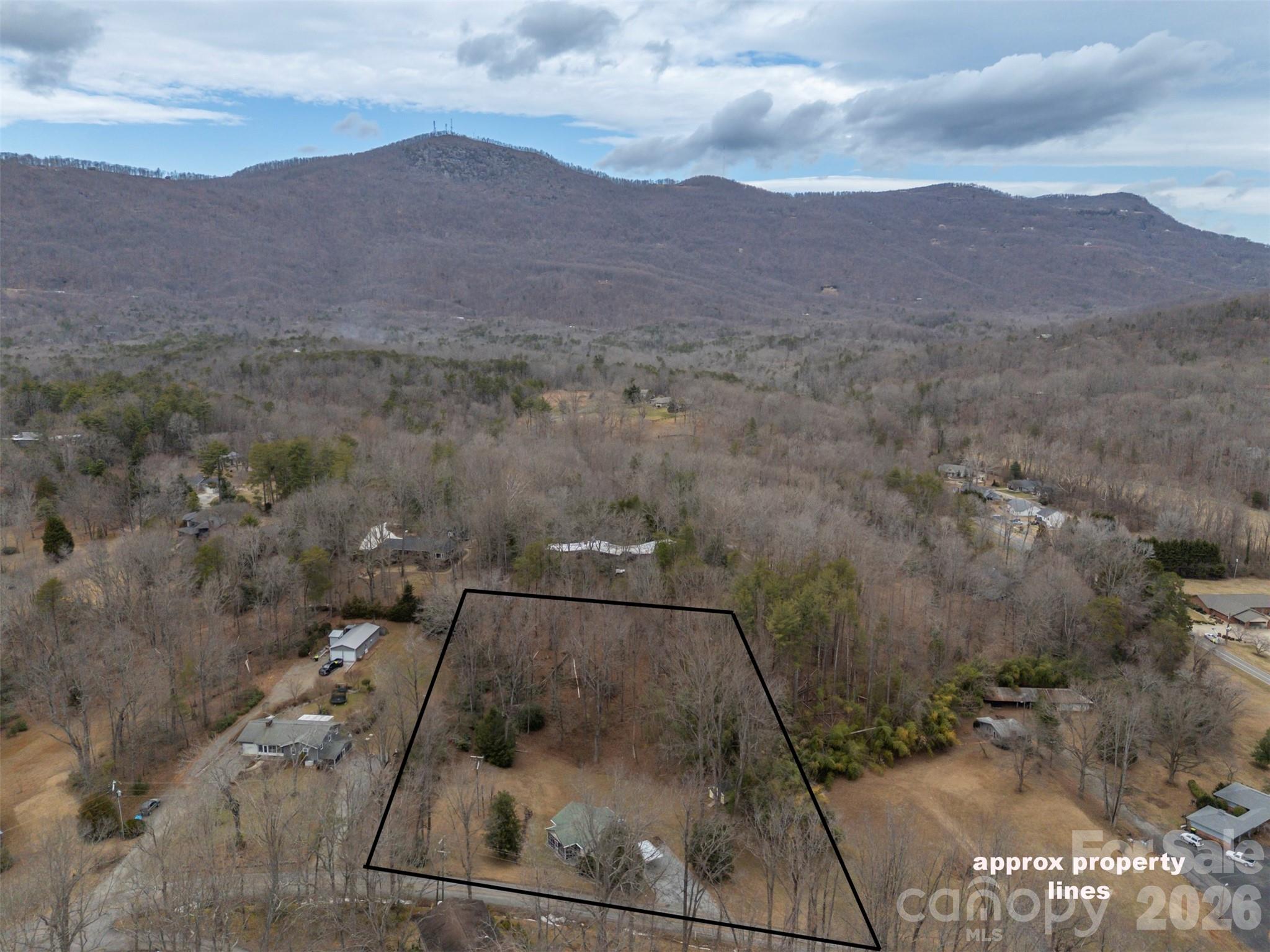 711 Thermal View Drive Tryon, NC 28782 - Photo 32 of 34