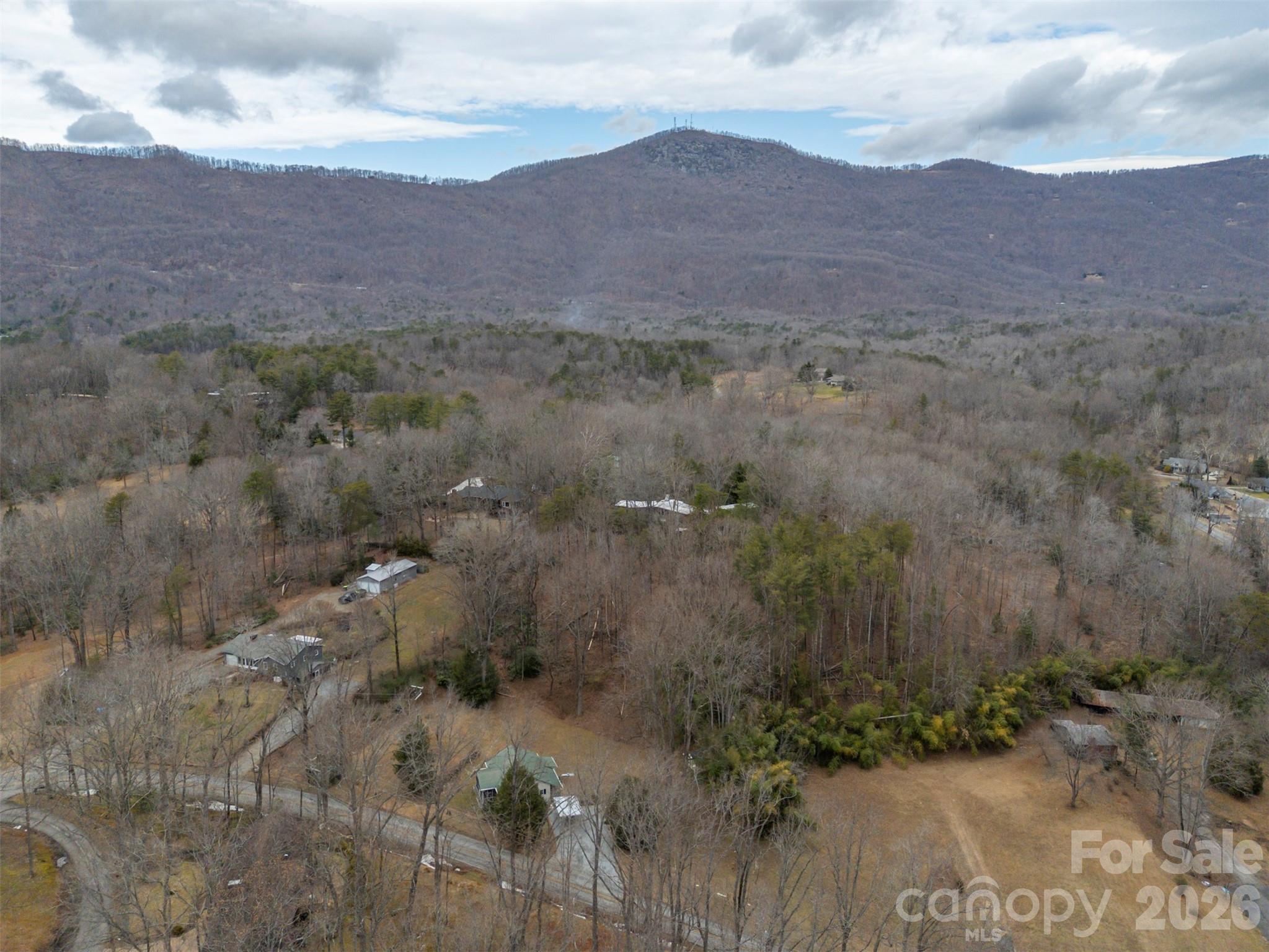 711 Thermal View Drive Tryon, NC 28782 - Photo 33 of 34