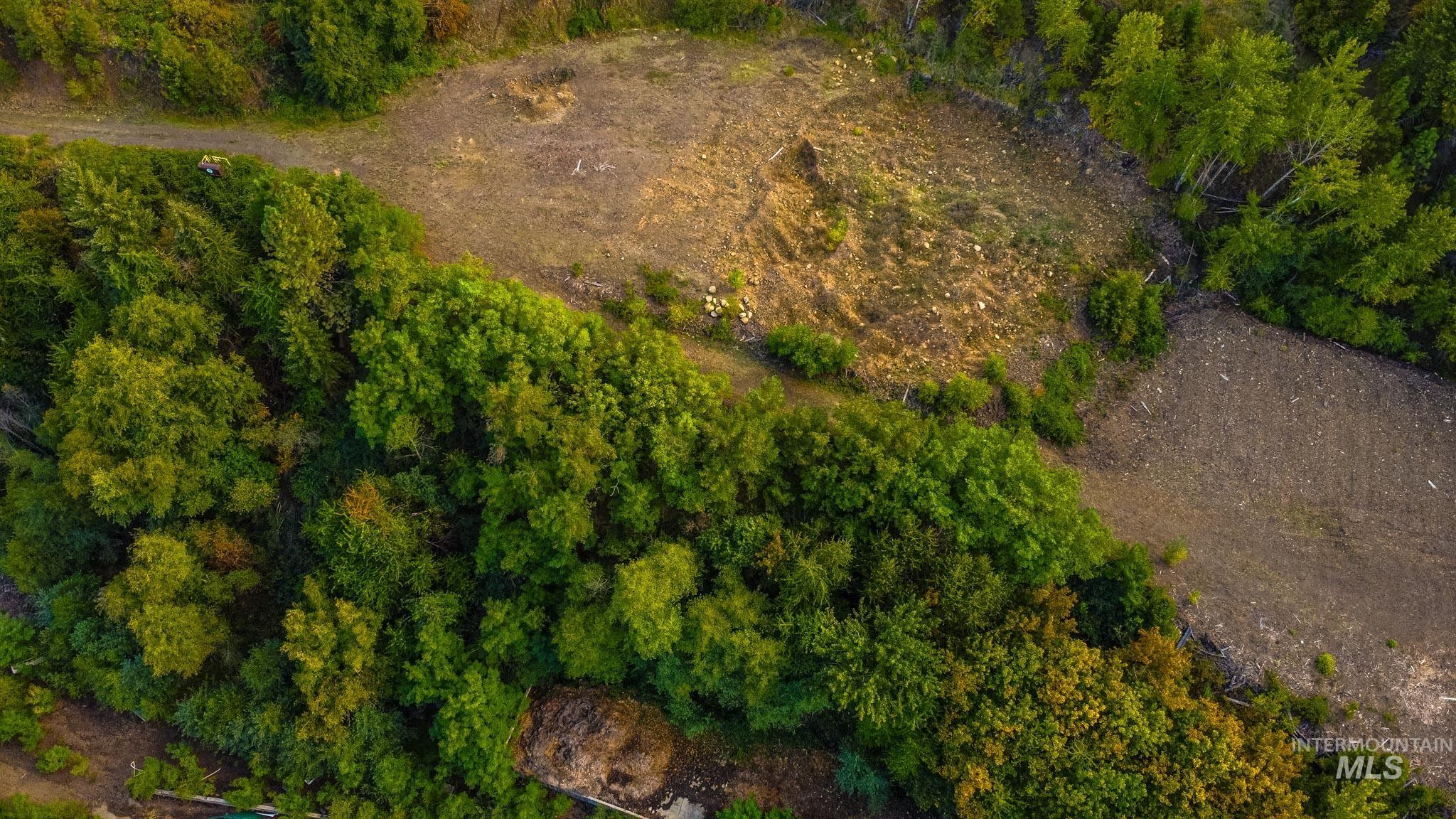 84 Grangemont Road Orofino, ID 83544 - Photo 13 of 42 Aerial view of property's location