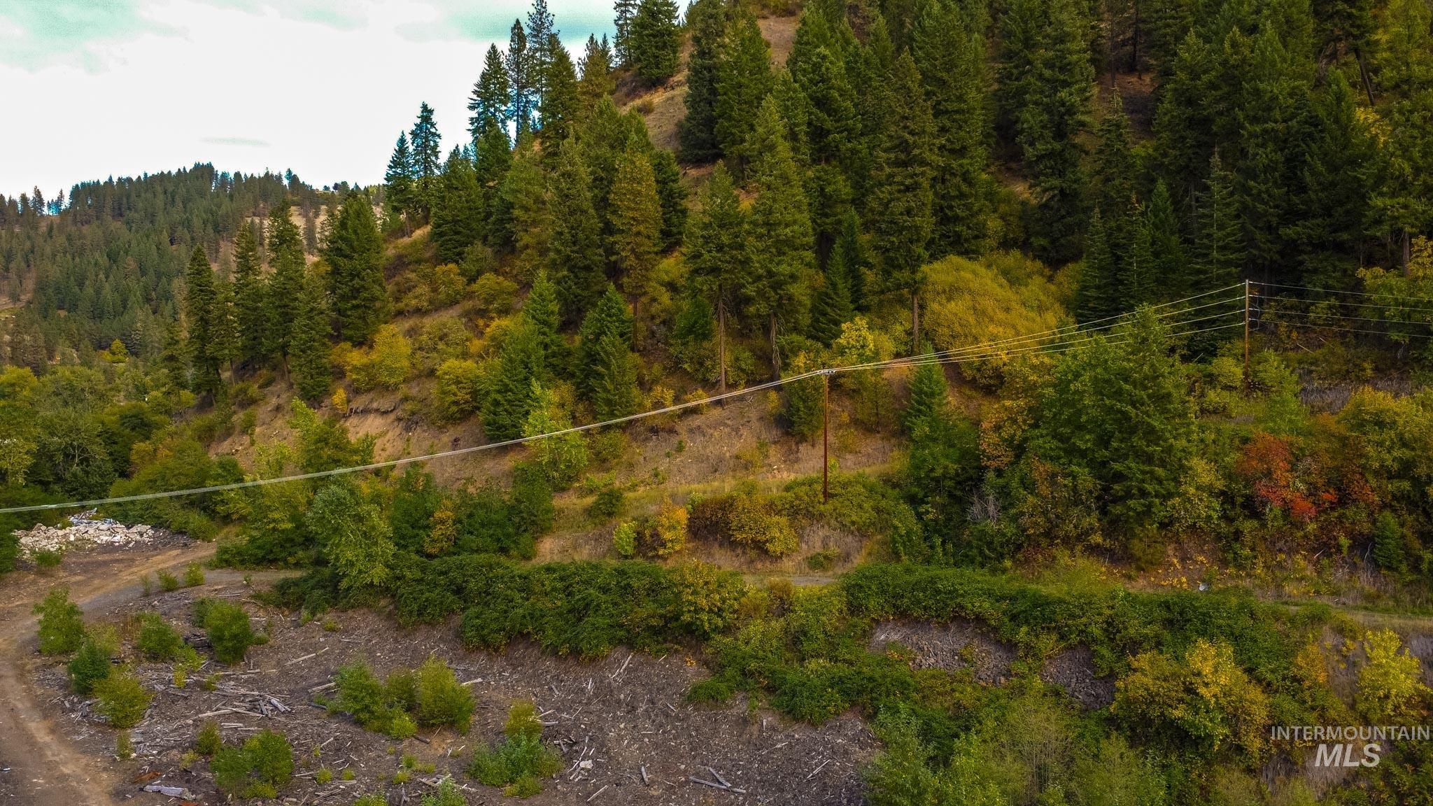 84 Grangemont Road Orofino, ID 83544 - Photo 8 of 42 View of yard featuring a balcony and a forest view