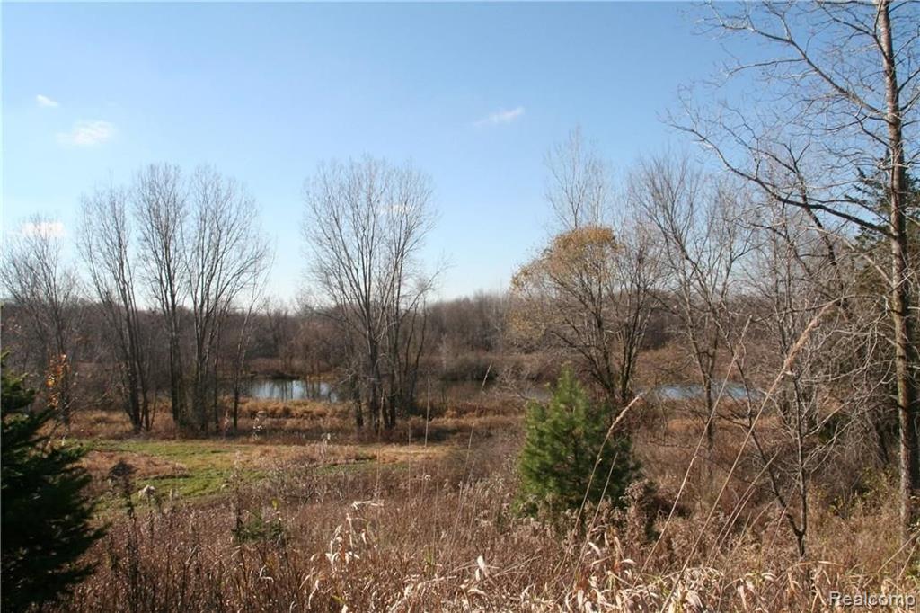 1925 North Cedar Road Fowlerville, MI 48836 - Photo 10 of 10
