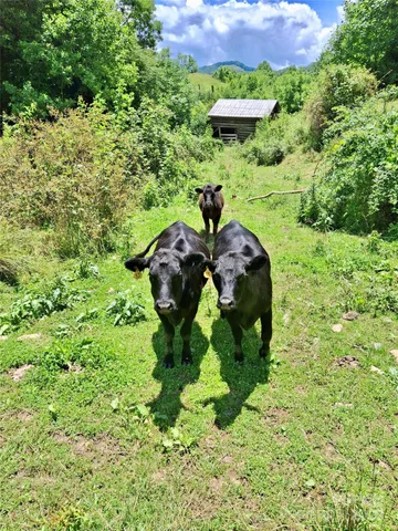 $299,000 | 2087 Henry Road, Sylva, NC 28779