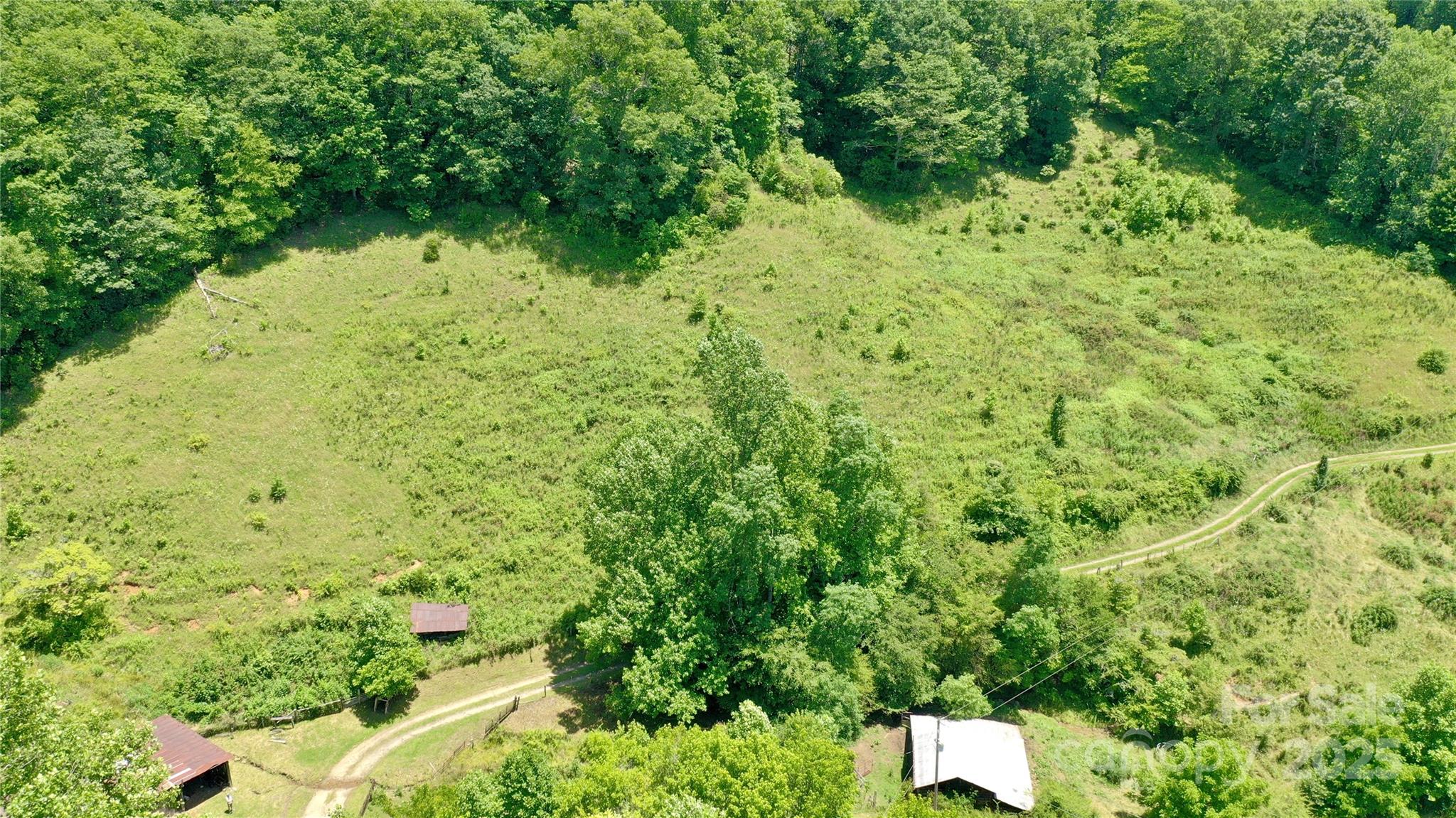 2087 Henry Road Sylva, NC 28779 - Photo 22 of 36