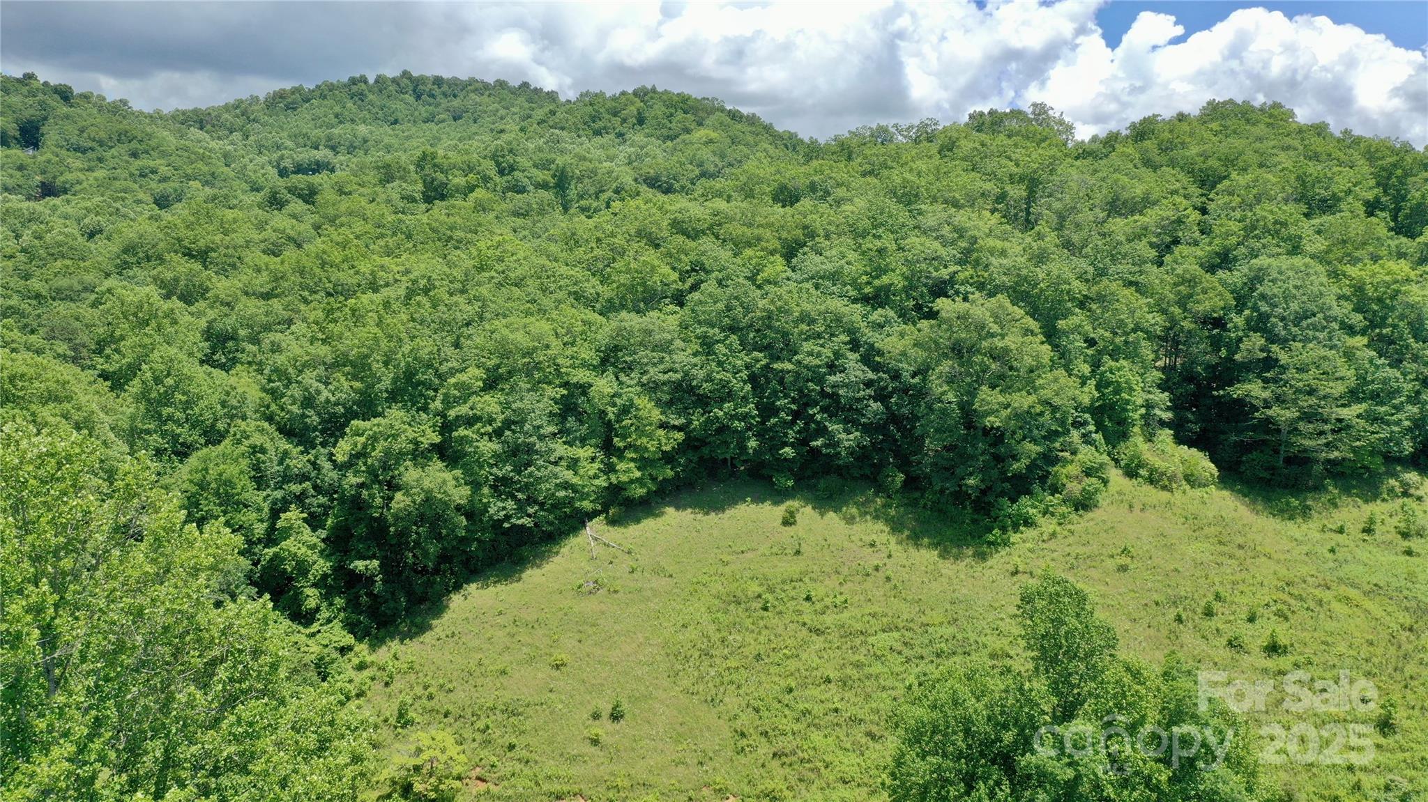 2087 Henry Road Sylva, NC 28779 - Photo 23 of 36