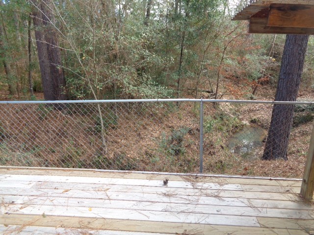 709 Short Mill Run Conroe, TX 77316 - Photo 22 of 23