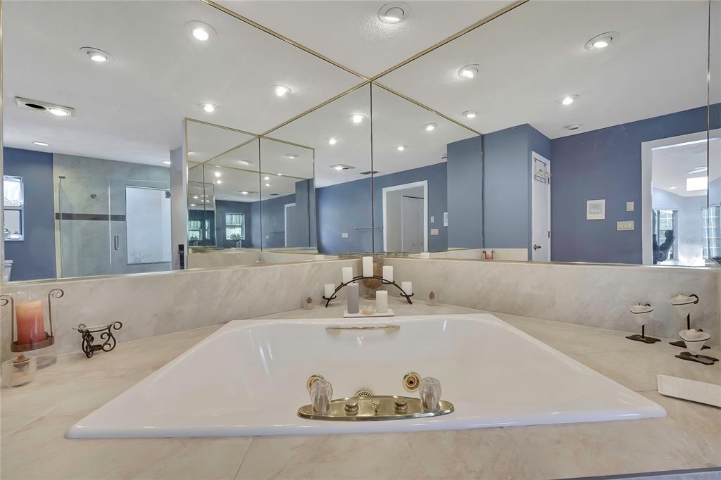 4293 River Birch Drive Spring Hill, FL 34607 - Photo 24 of 79