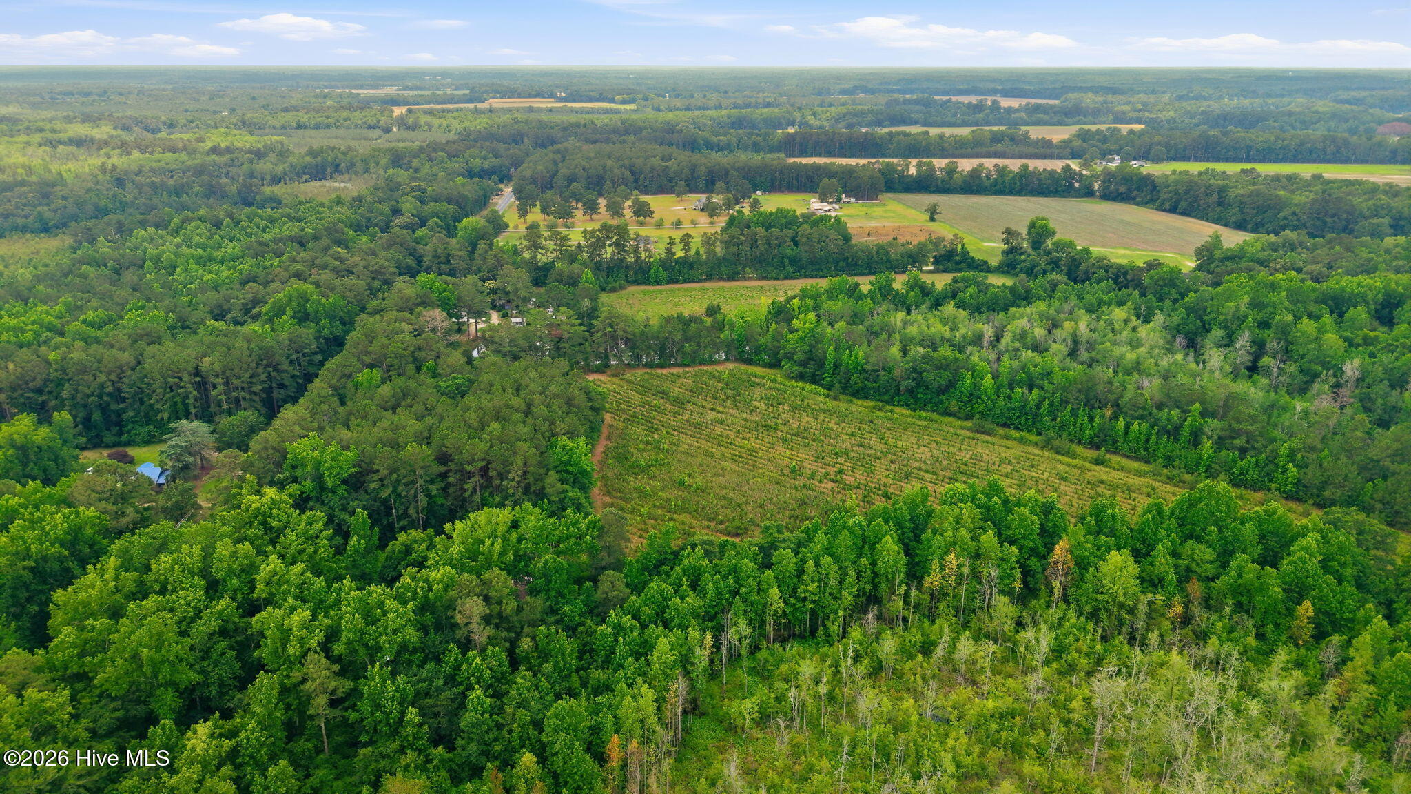 17060 St Johns Church Road Laurel Hill, NC 28351 - Photo 56 of 62