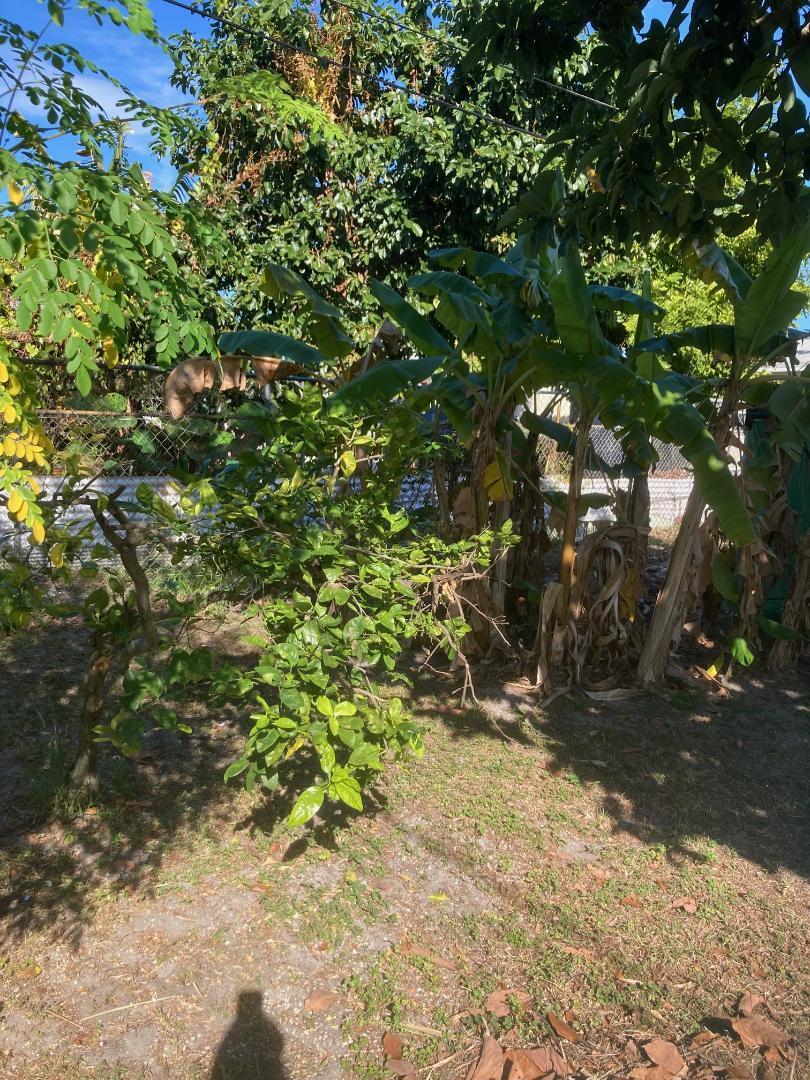 120 West 22nd Street Riviera Beach, FL 33404 - Photo 6 of 7 a view of a tree