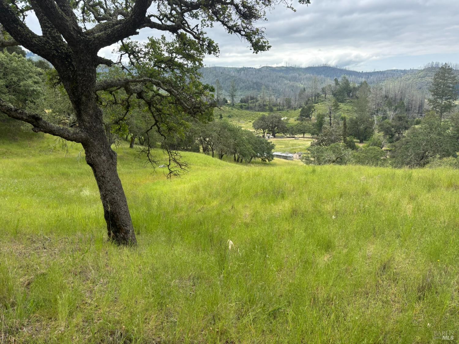 6971 St Helena Road Santa Rosa, CA 95404 - Photo 2 of 34