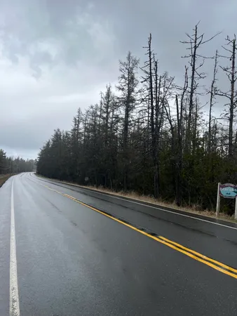 $99,000 | 5 Us Route 1 Highway, Danforth, ME 04424