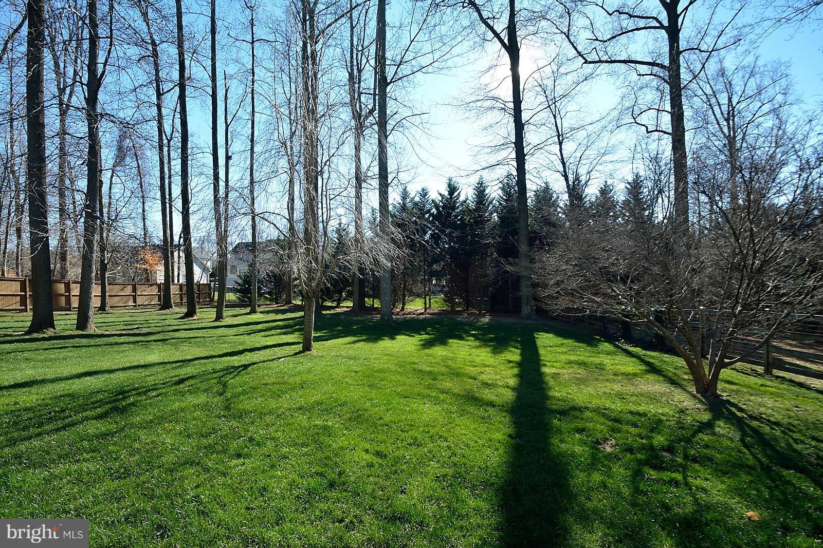6733 Bulkley Road Lorton, VA 22079 - Photo 29 of 30 Exterior (Rear)