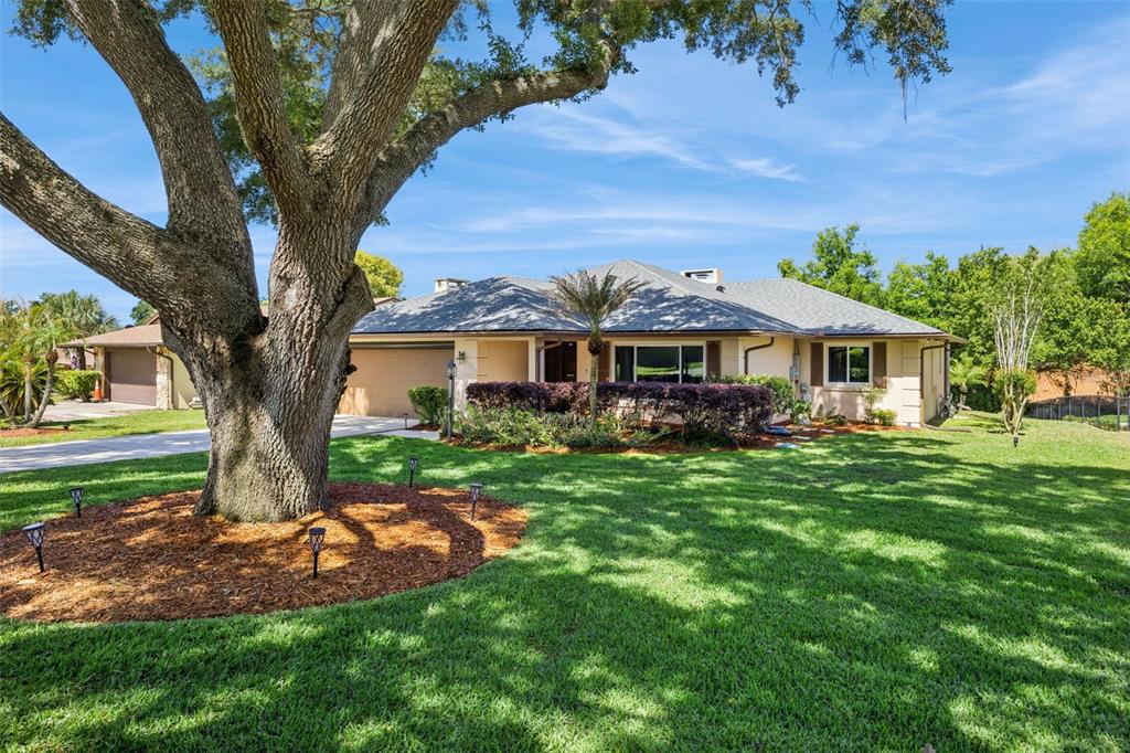 1224 Palmetto Road Eustis, FL 32726 - Photo 3 of 48