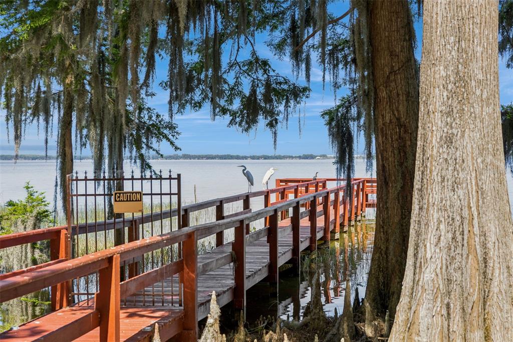 1224 Palmetto Road Eustis, FL 32726 - Photo 34 of 48