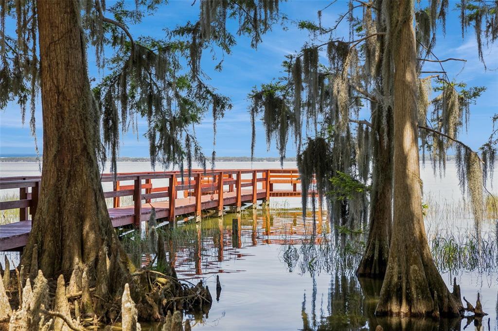 1224 Palmetto Road Eustis, FL 32726 - Photo 35 of 48