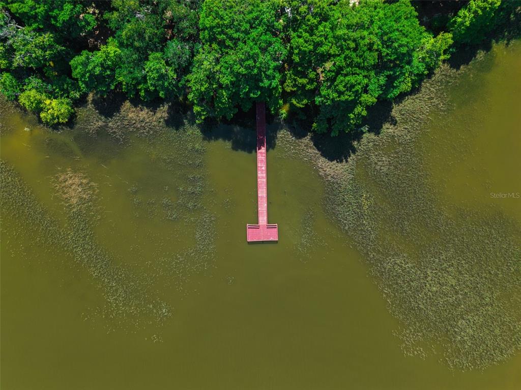 1224 Palmetto Road Eustis, FL 32726 - Photo 36 of 48