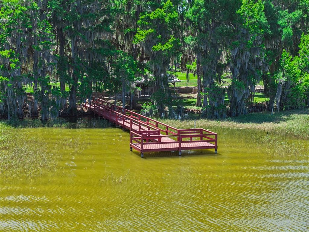 1224 Palmetto Road Eustis, FL 32726 - Photo 37 of 48