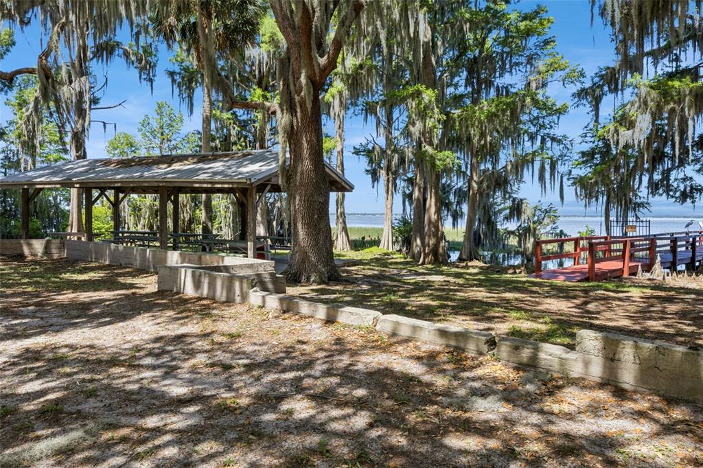 1224 Palmetto Road Eustis, FL 32726 - Photo 39 of 48