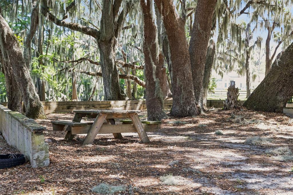 1224 Palmetto Road Eustis, FL 32726 - Photo 41 of 48