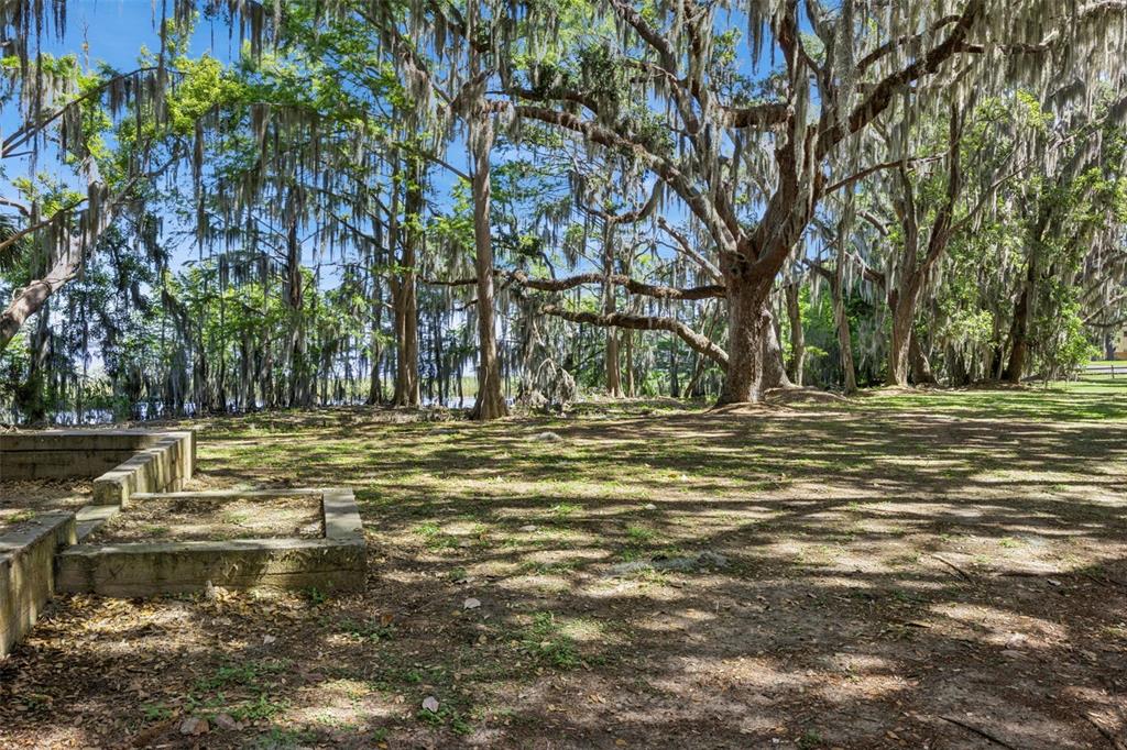 1224 Palmetto Road Eustis, FL 32726 - Photo 43 of 48