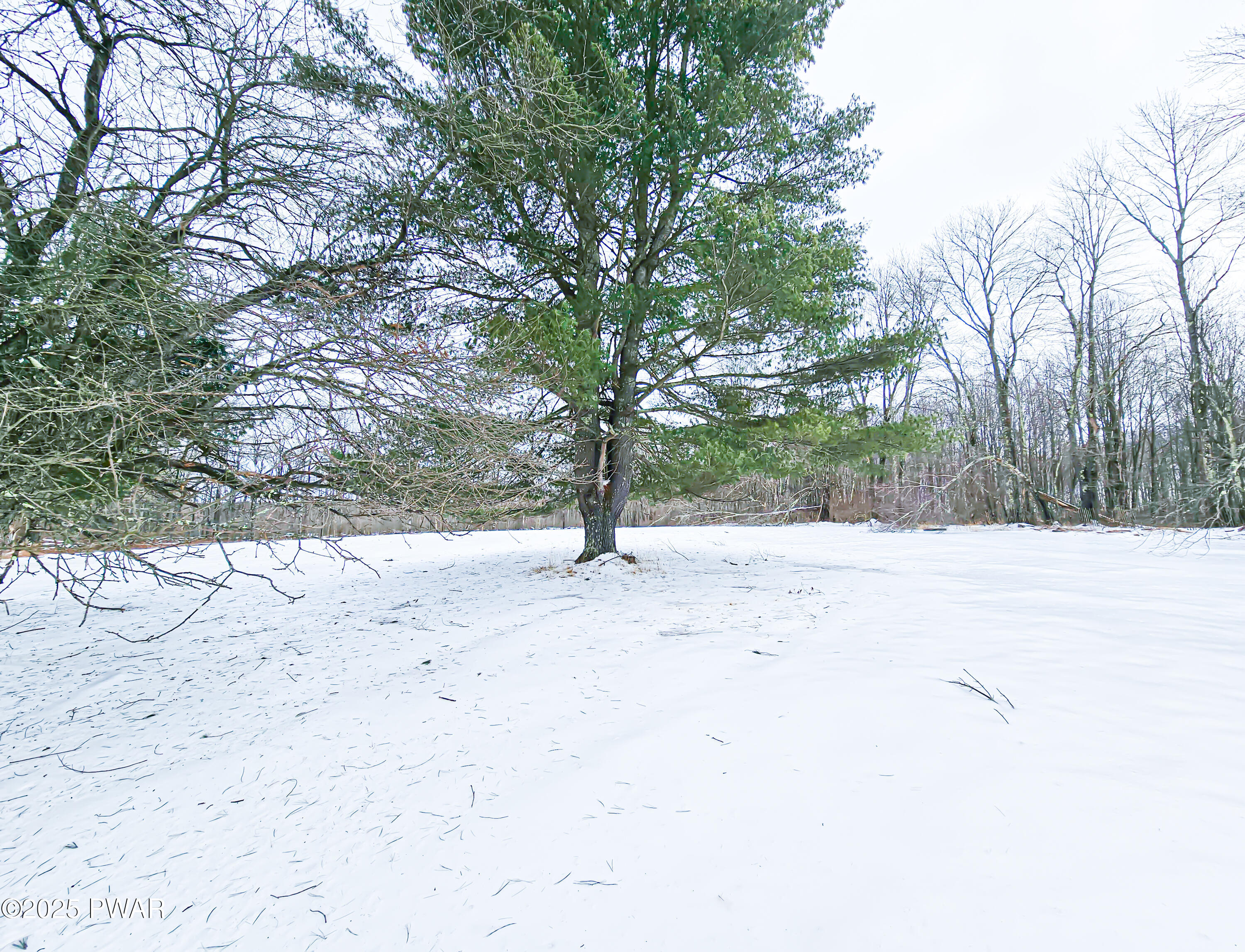 46 Shale Road Beach Lake, PA 18405 - Photo 11 of 44 20250219_121404