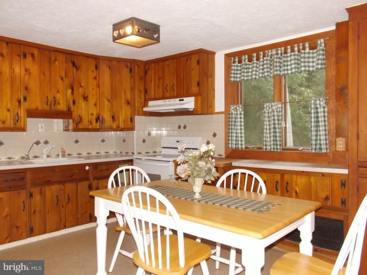 5579 Stump Road Pipersville, PA 18947 - Photo 7 of 15 Gallery Image 7