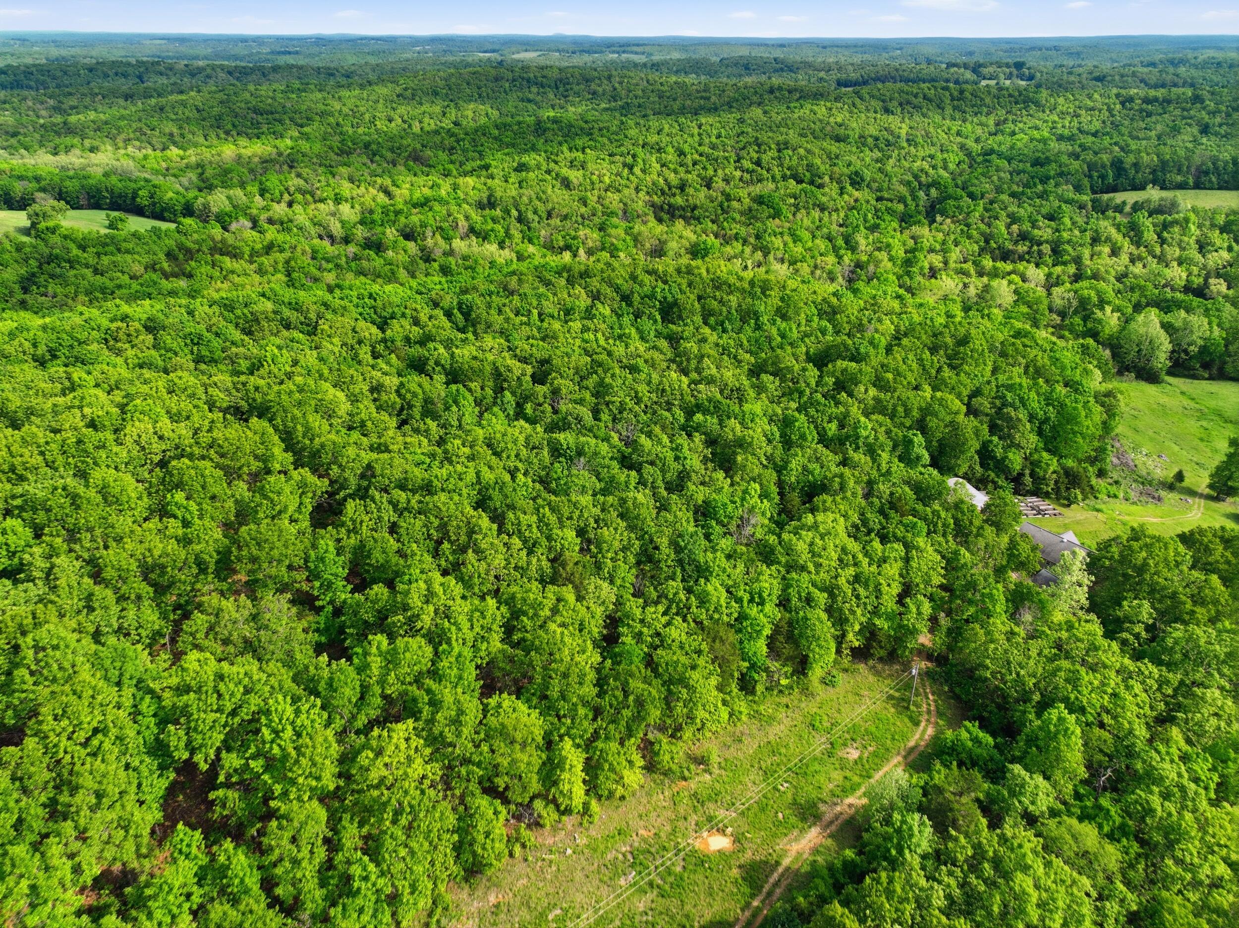 358 Co Road Caulfield, MO 65626 - Photo 65 of 74 dji_0049