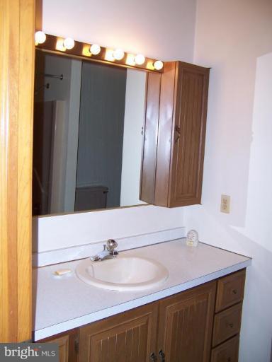 328 Crystal Beach Road Earleville, MD 21919 - Photo 8 of 24 Sink with vanity, mirror and plenty of lighting.