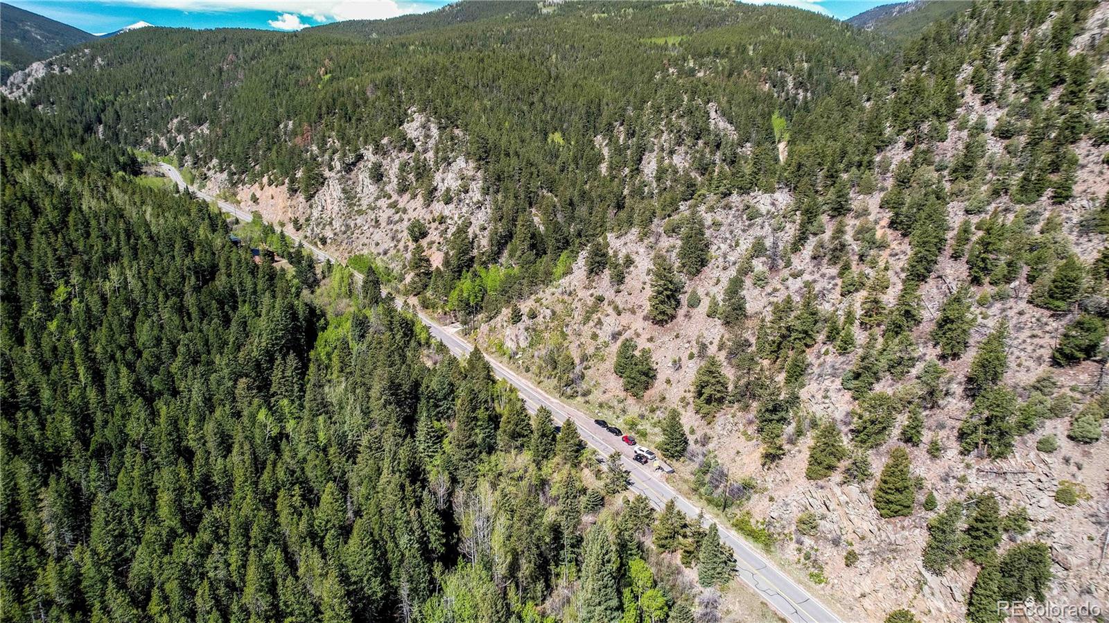 103 Cascade Creek Road Idaho Springs, CO 80452 - Photo 18 of 40 a view of a forest with a lush green field