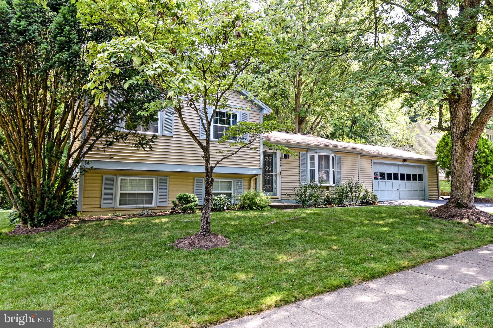 5903 Freds Oak Road Burke, VA 22015 - Photo 3 of 38 Gallery Image 3