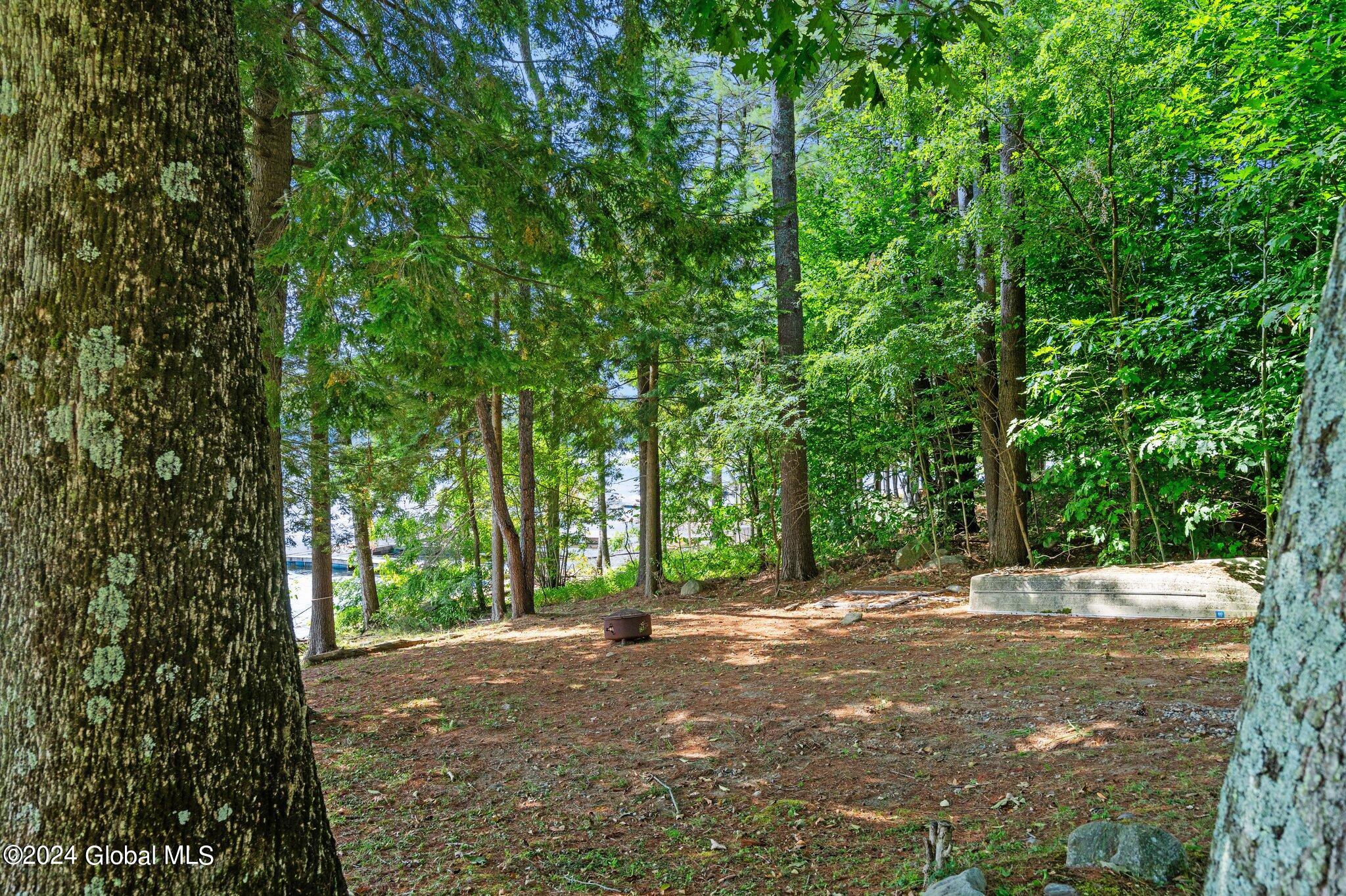 2337 North Shore Road Hadley, NY 12835 - Photo 6 of 59 large-0191d1a4-47e8-73d3-89db-6af9c1214b