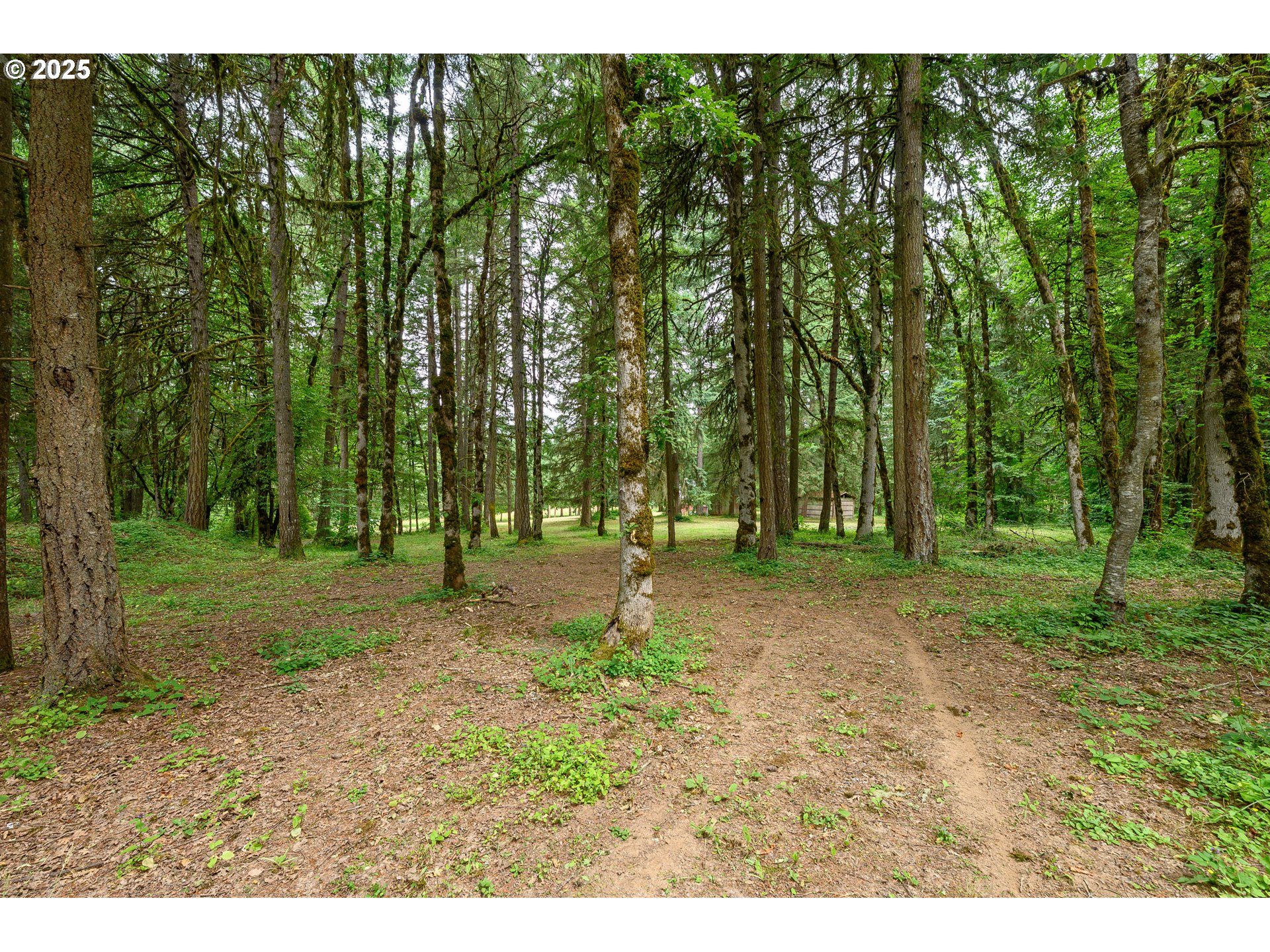 11630 Northeast Bayliss Road Carlton, OR 97111 - Photo 43 of 46 Gallery Image 43
