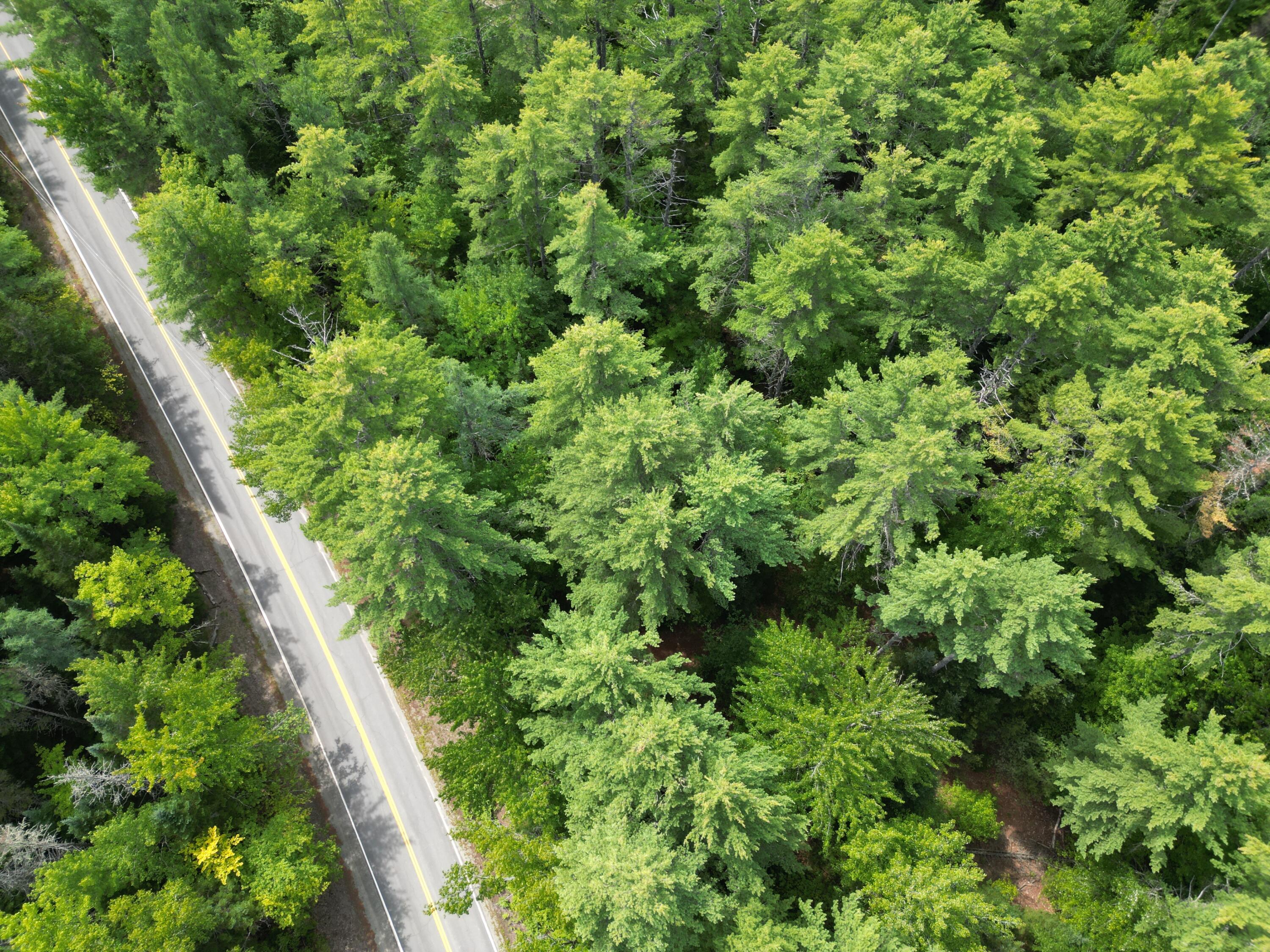 Lot 5 River Road Lagrange, ME 04453 - Photo 19 of 19 DJI_0052