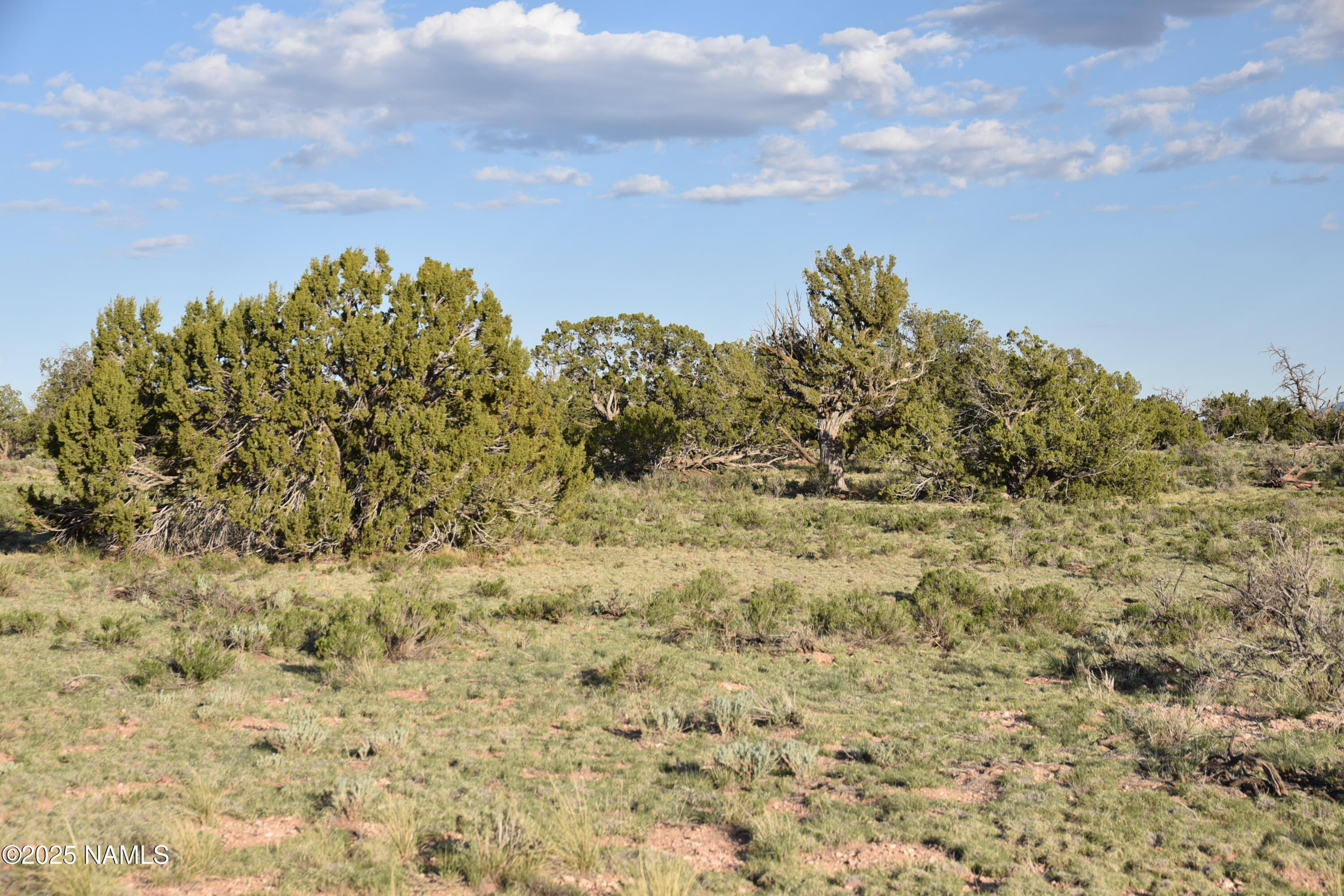 3391 East Indian Meadows Road, Unit 44 Williams, AZ 86046 - Photo 11 of 20 DSC_4268